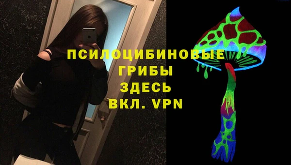 наркотики Приозерск